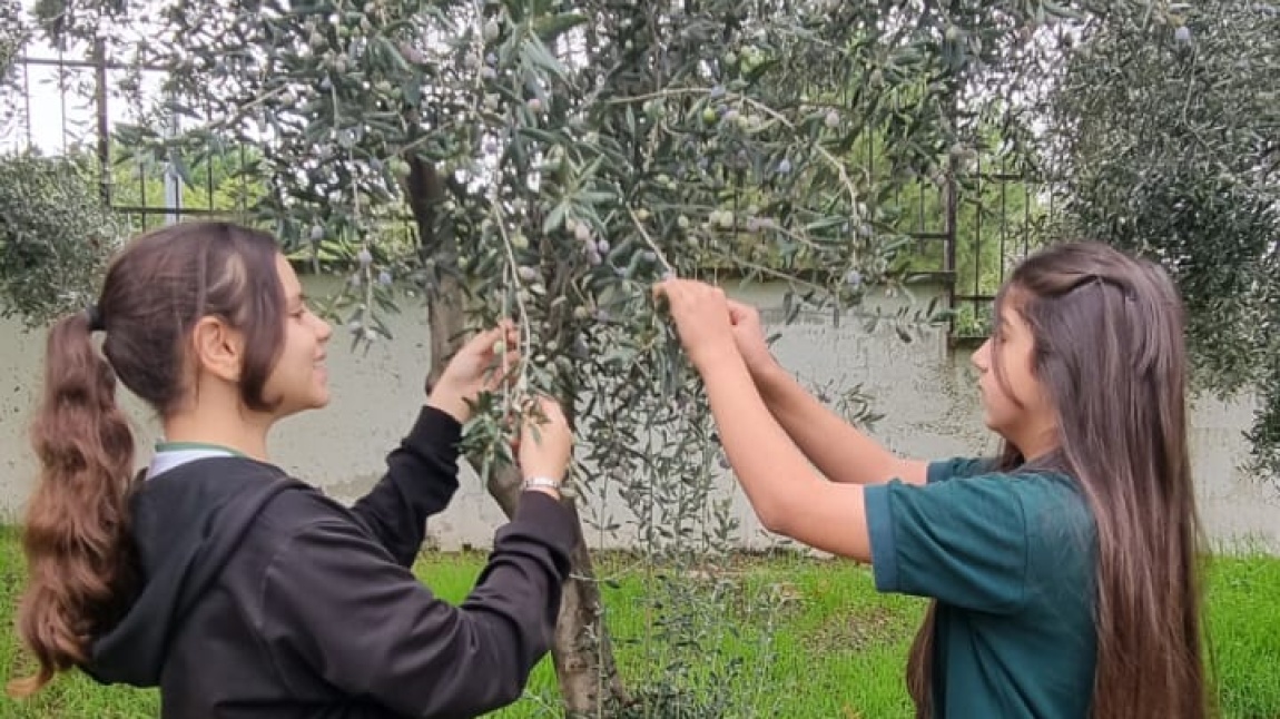 YEŞİL VATAN - TOHUM, TOPRAK ve TEMİZ HAVA AYI ETKİNLİKLERİMİZ